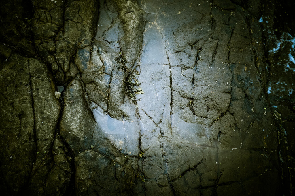 Traces de dinosaures de la Baie de Staffin, Ile de Skye, Ecosse
