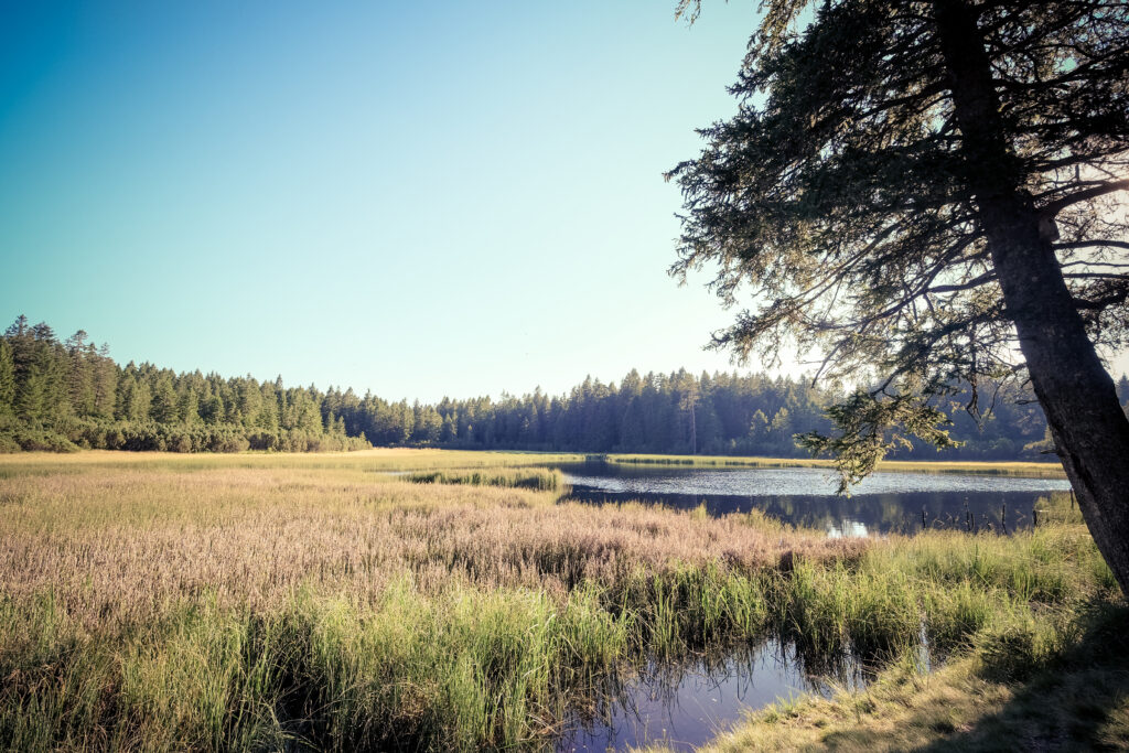 Crno Jezero, lac noir, Slovénie