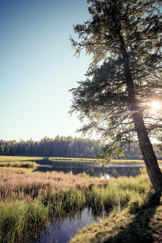 Crno Jezero, lac noir, Slovénie