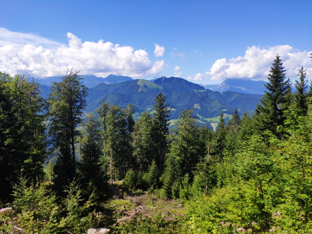 Road trip en 4x4 en Slovénie
