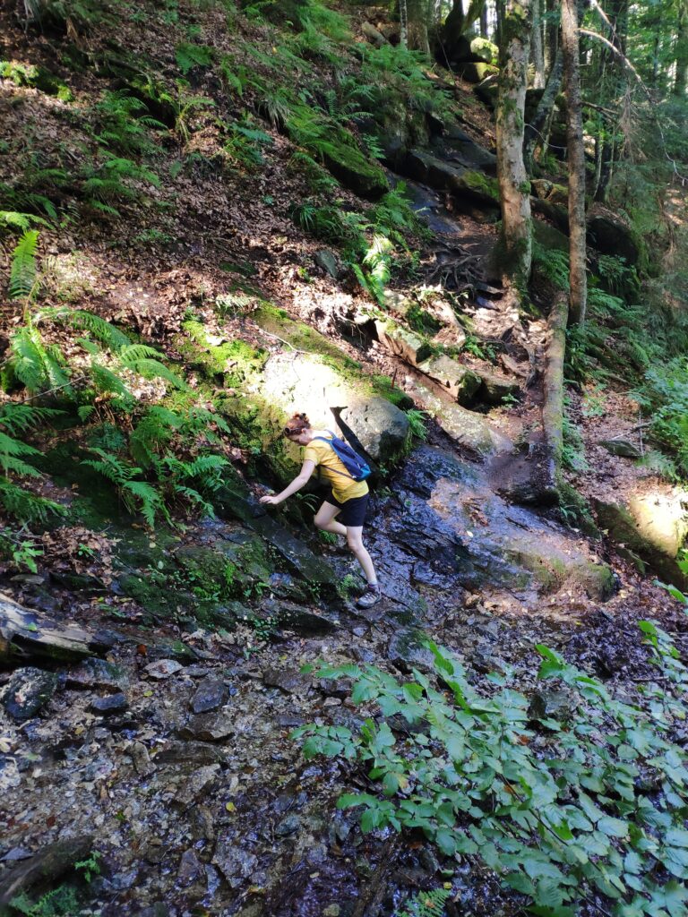 Slap Sumik, Slovénie