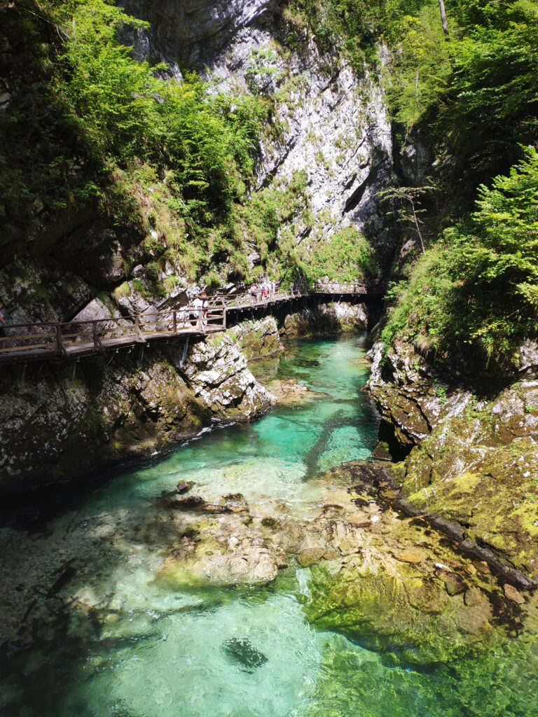 Gorges de Vintgar, Slovénie