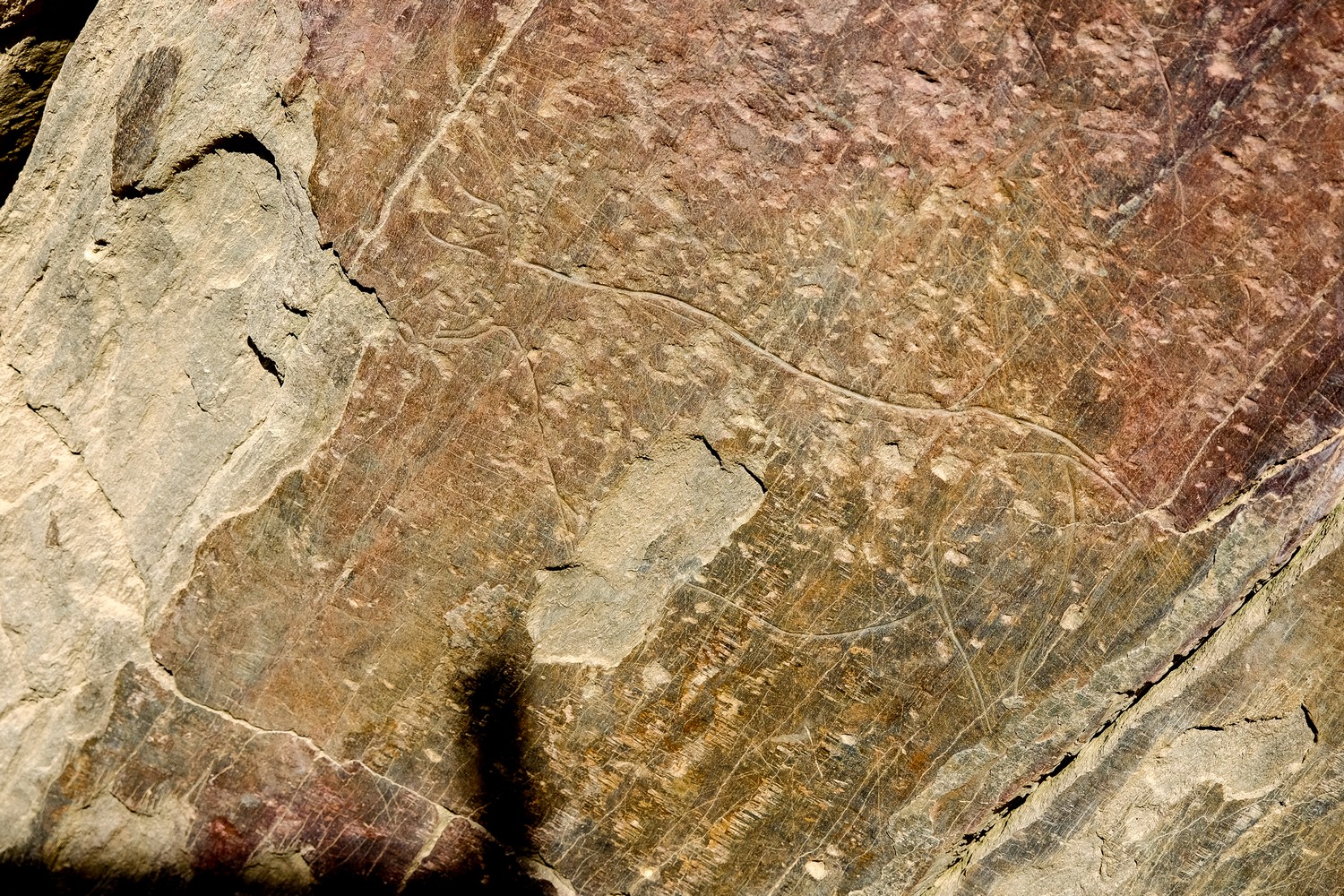  gravure rupestres du site de Penascosa, Portugal 