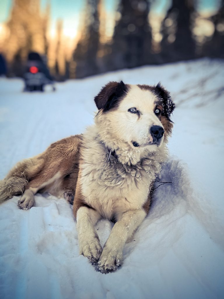 Yukon 2023