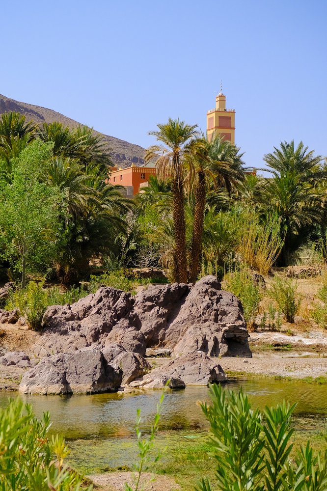 Oasis de Fint - Maroc 2024