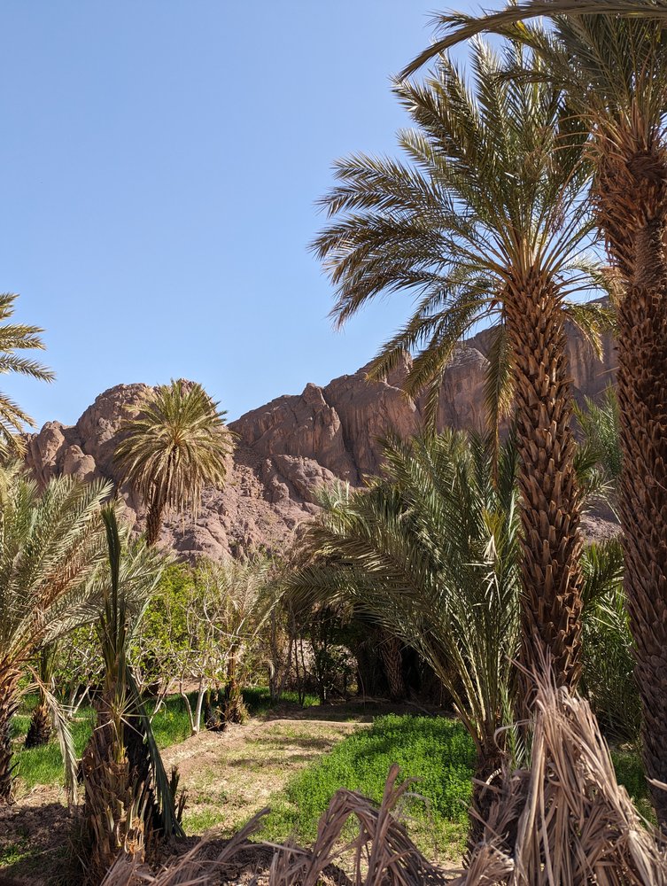 Oasis de Fint - Maroc 2024