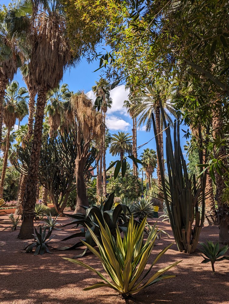 Marrakech - Maroc 2024