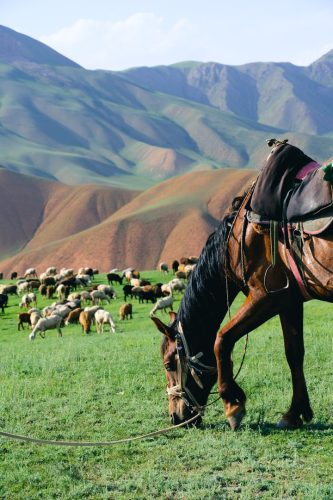 Roadtrip au Kyrgystan